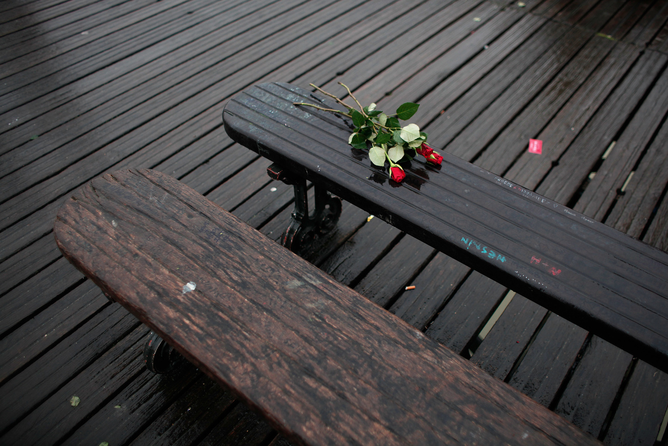 bunch of roses on a bench