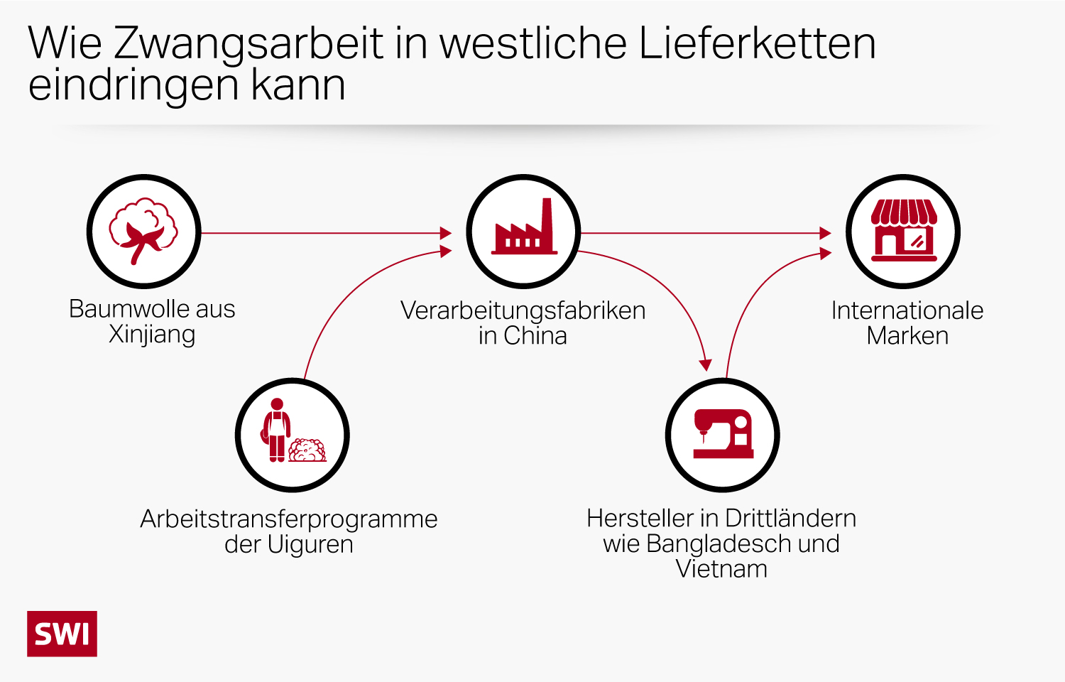 Grafik der Lieferkette von Baumwolle