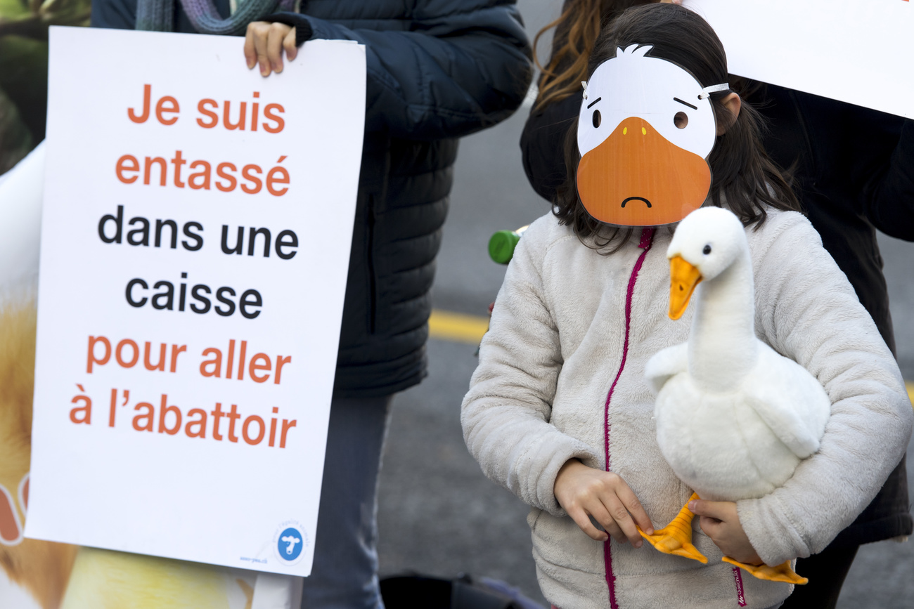 Manifestation contre le foie gras