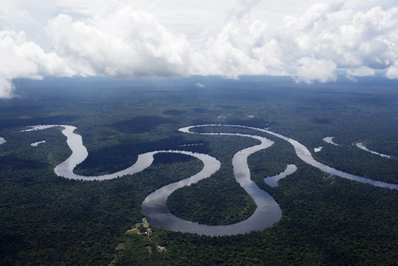 The Nanay River winding through Peru s Amazon jungle near Iquitos