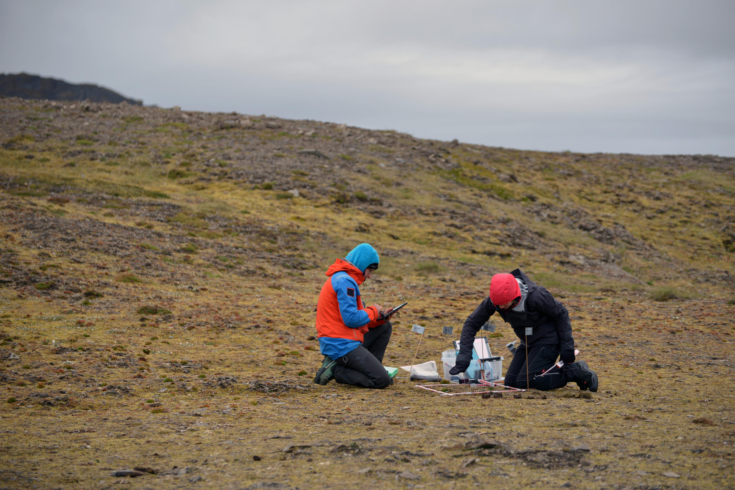 Jamila and Jana recording basic environmental data like substrate depth and soil moisture on a typical tundra site.