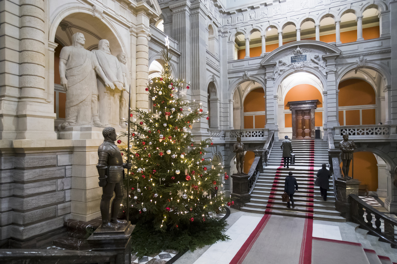 Parliament entrance hall with Christmas tree