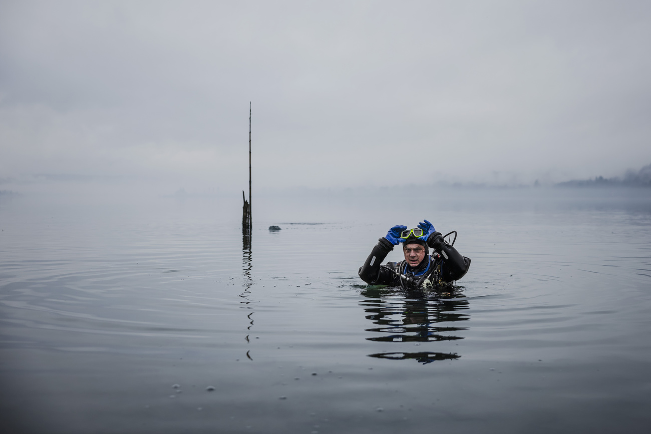 Diver on Lake Constance.