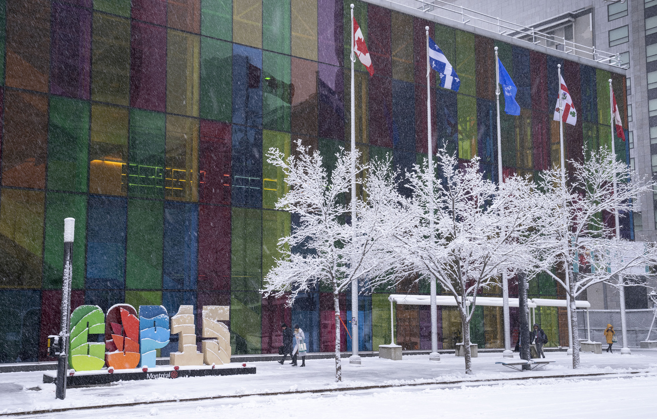 COP15