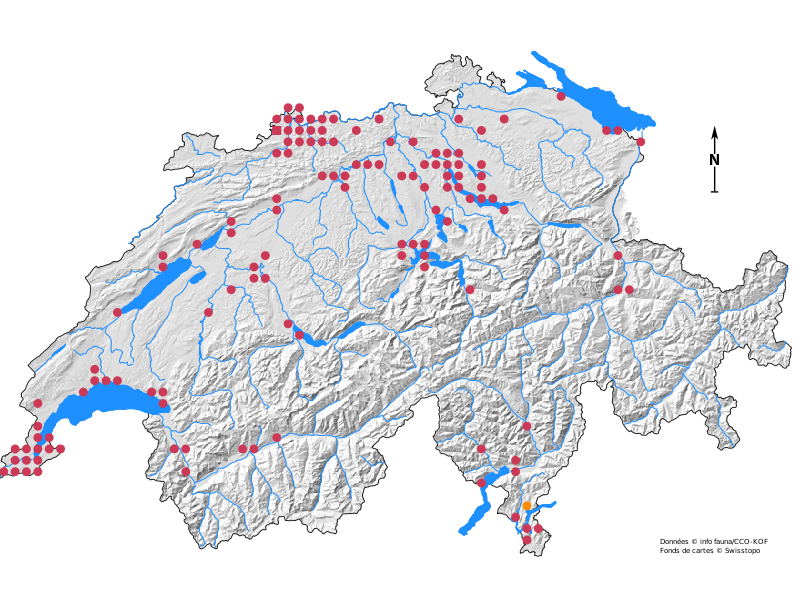 distribution map of Zoropsis in Switzerland