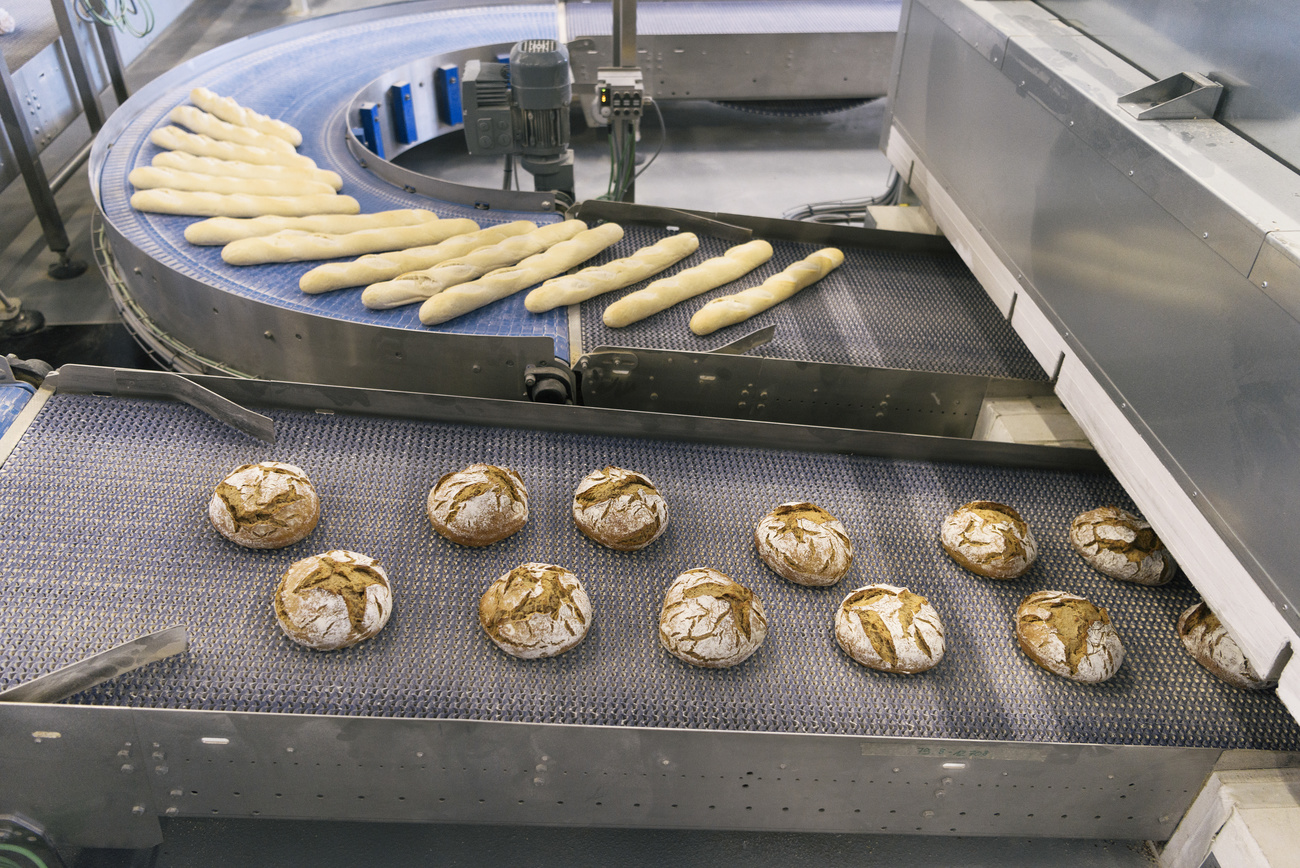 bread in factory.
