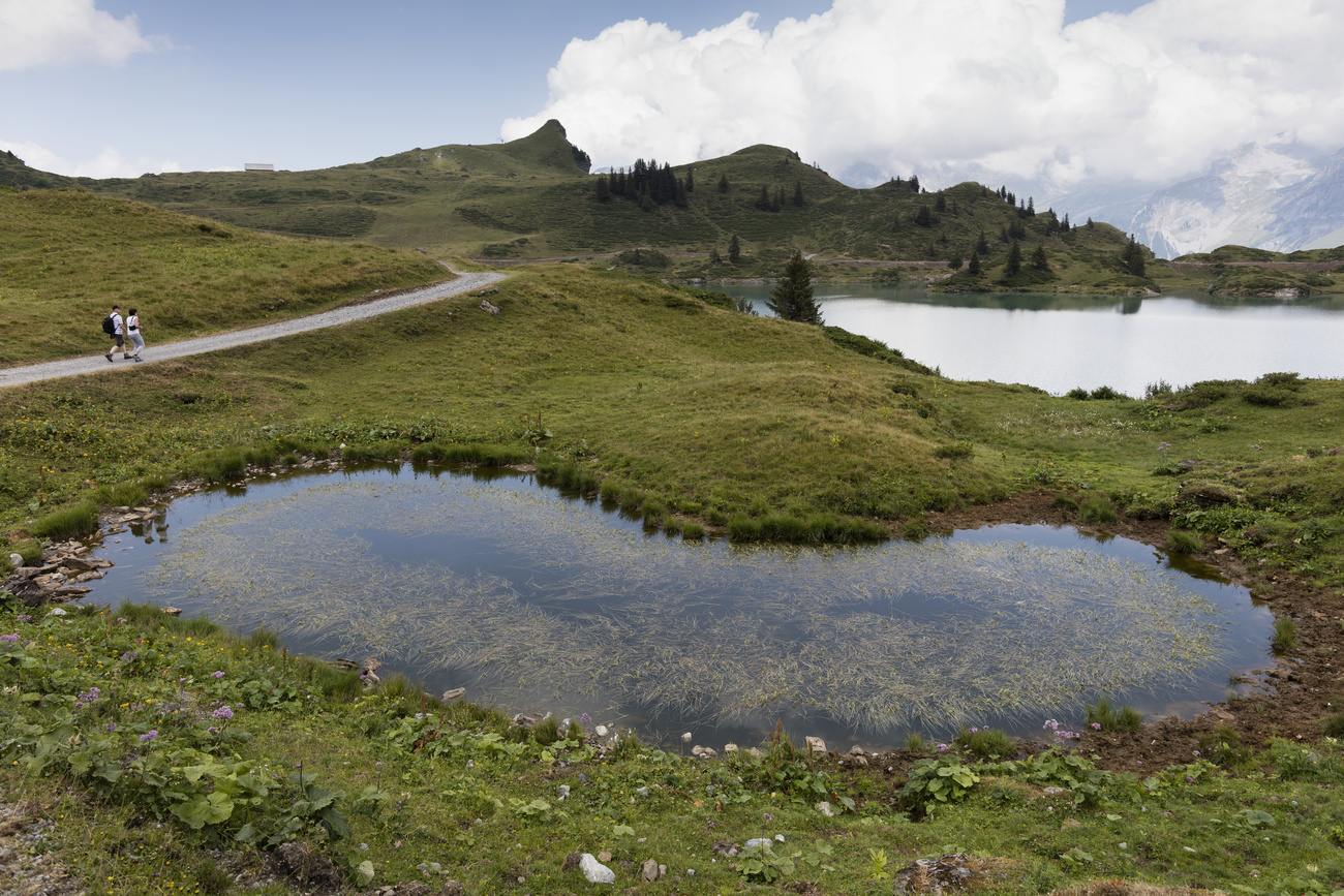 laghetto alpino