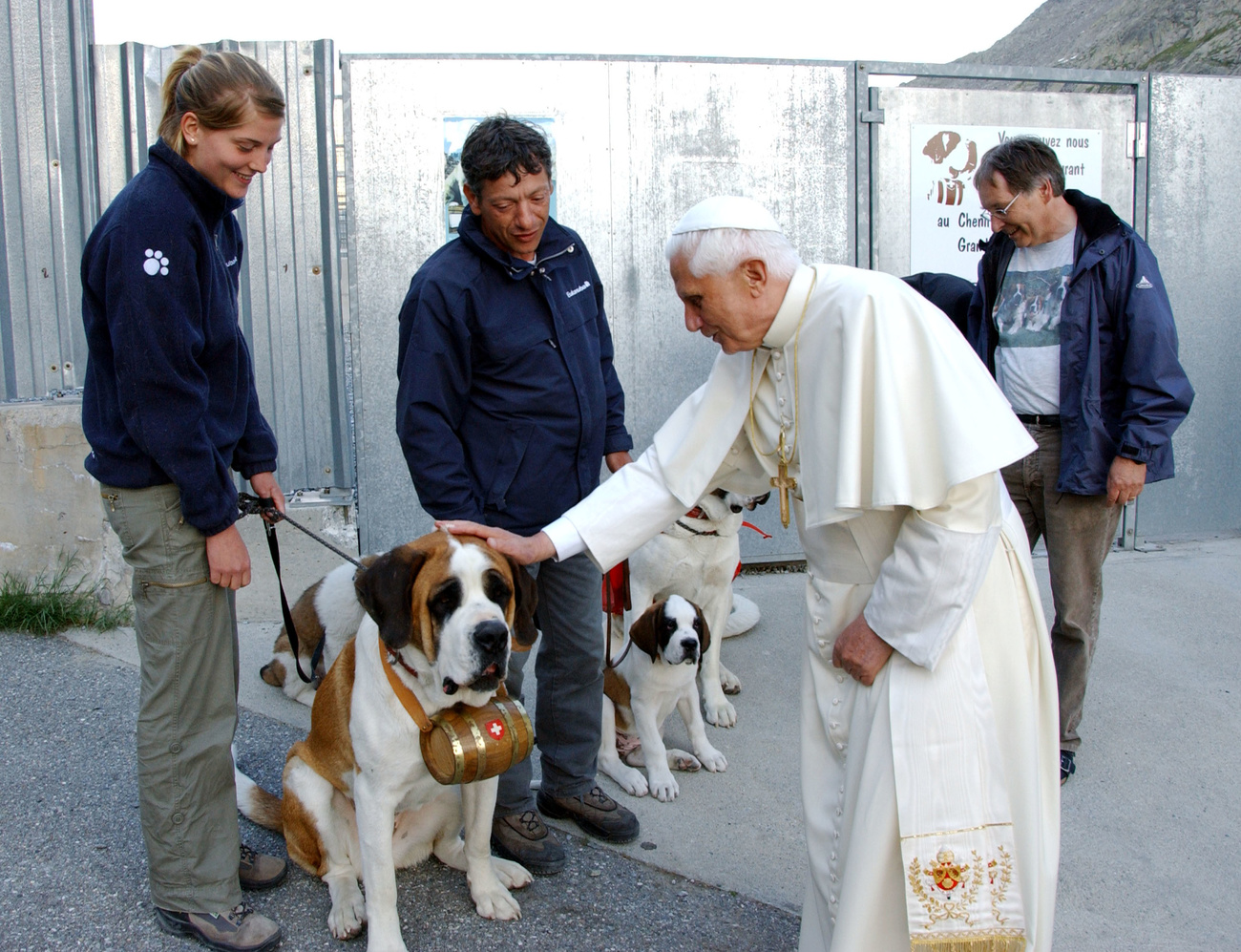 Benedicto XVI acaricia a un perro San Bernardo.