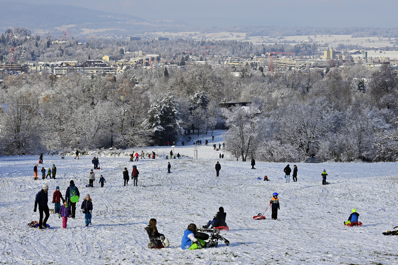 Zurich people sledging.