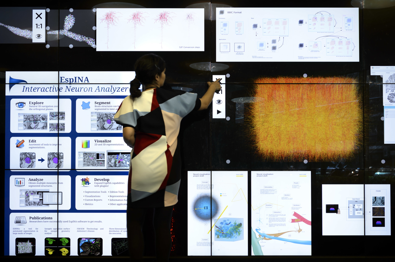 woman looking a screen with findings of human brain project
