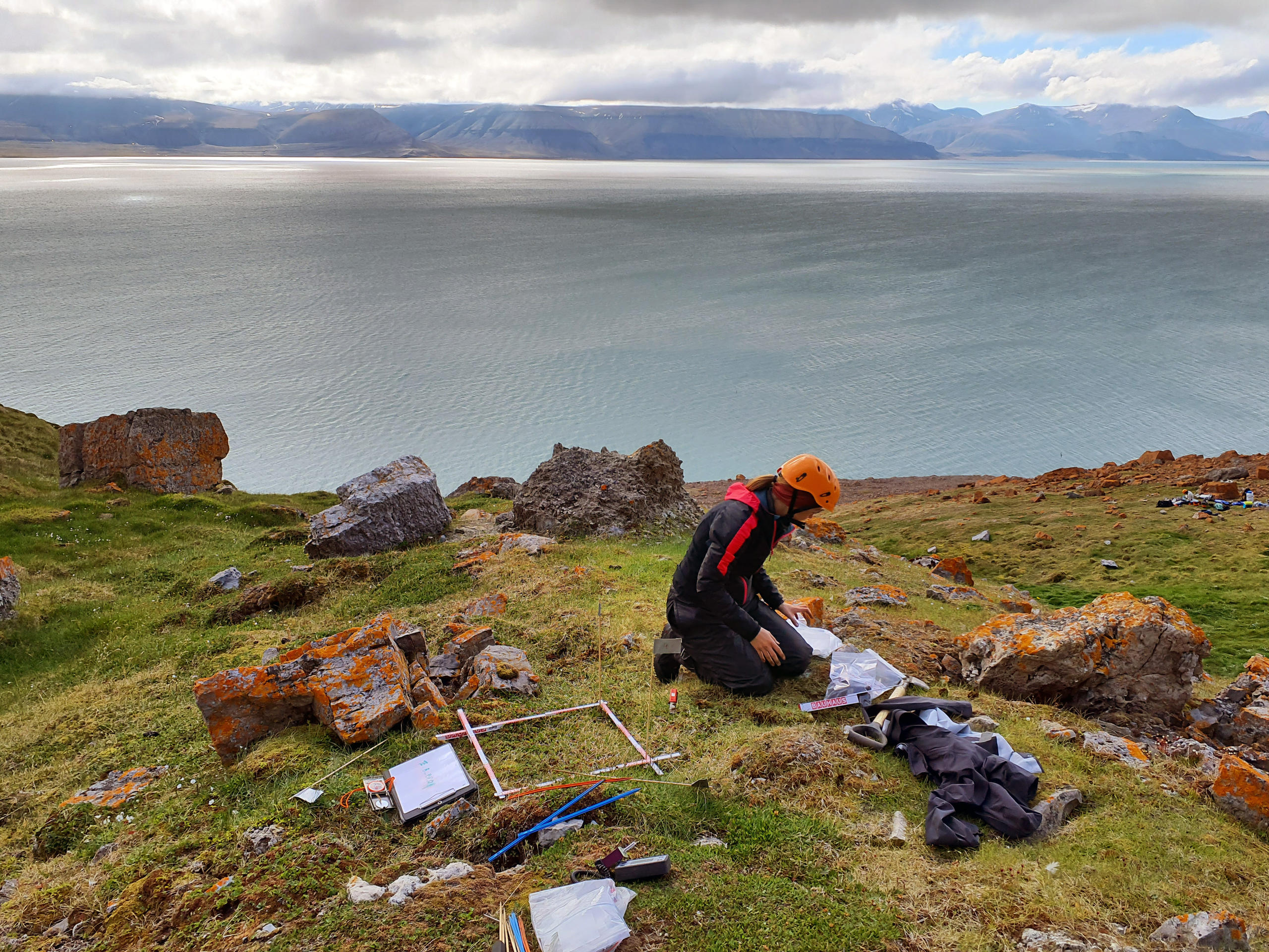 Jana working close to the top of the “Templet” bird cliff