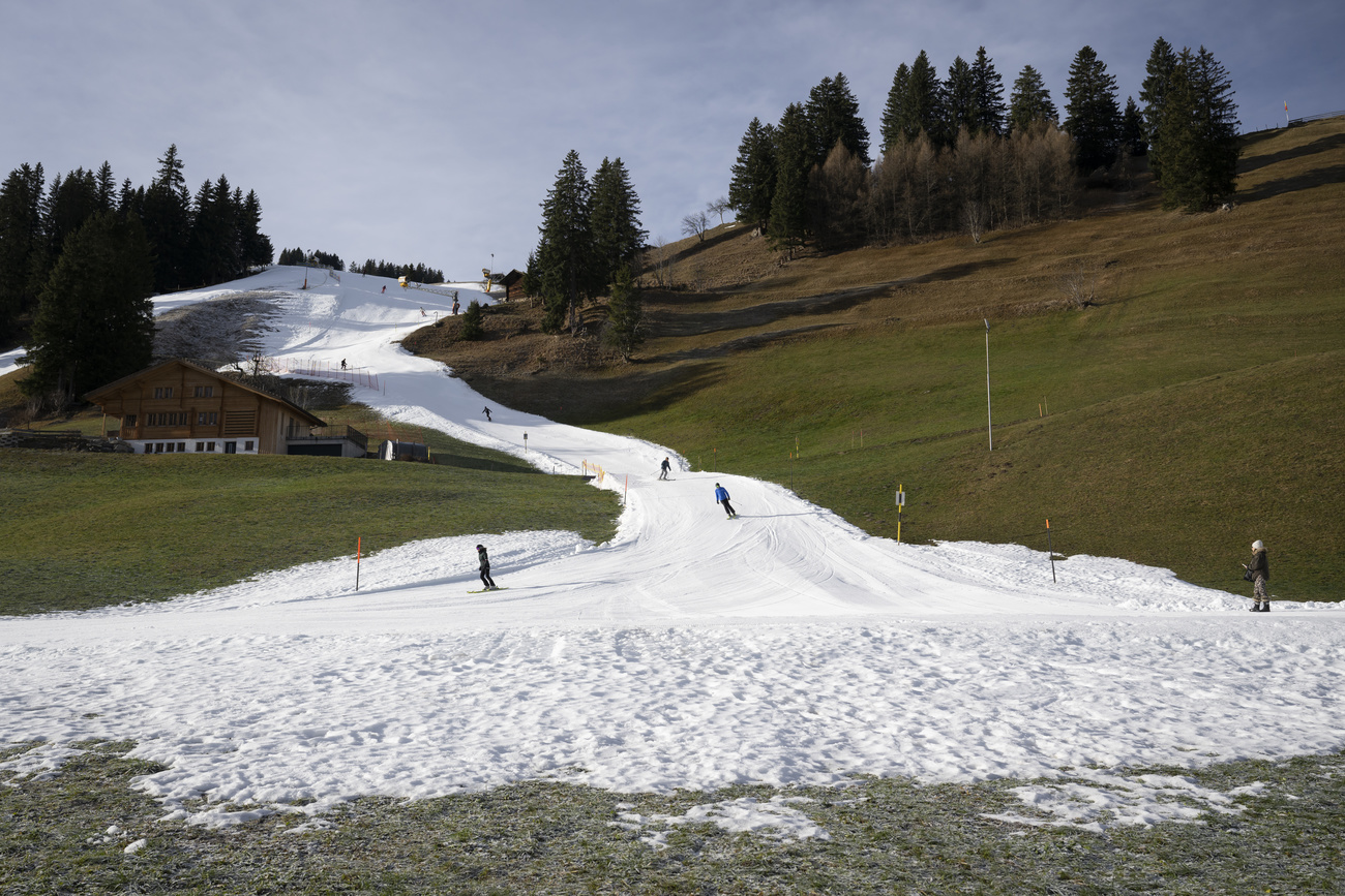 ski slope amid green fields