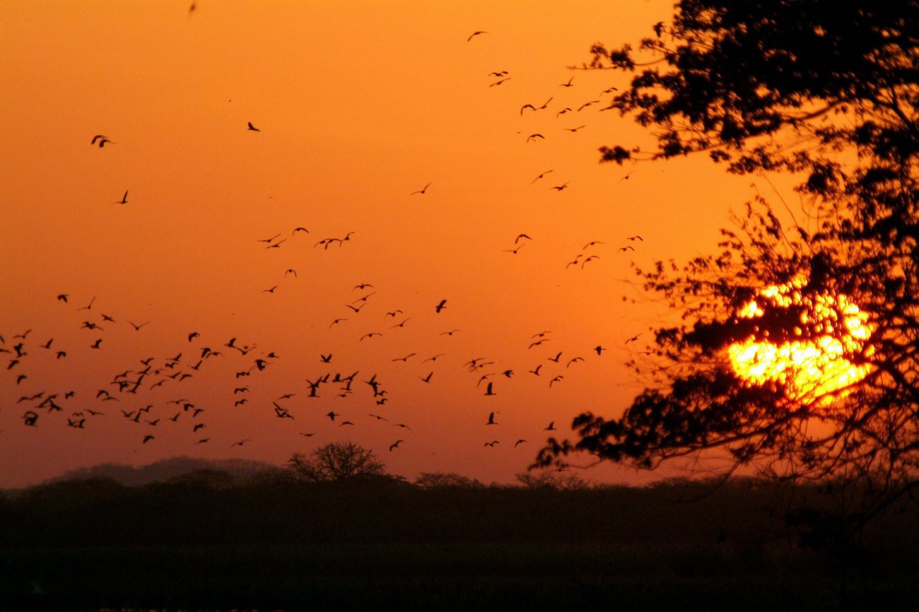 Sonnenuntergang in Costa Rica