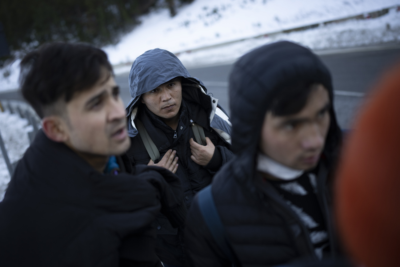afghans