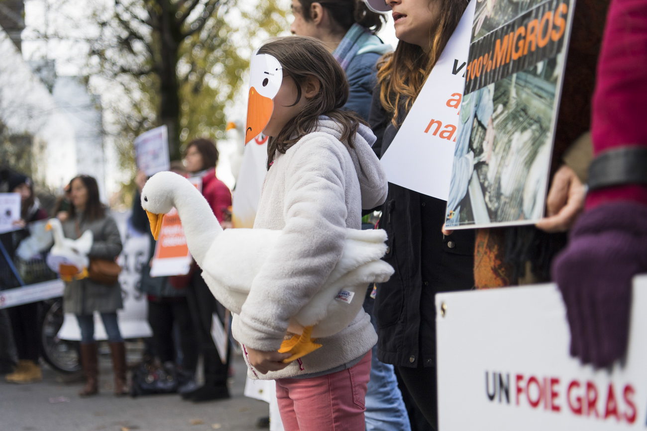 Demonstration Stopfleber Migros