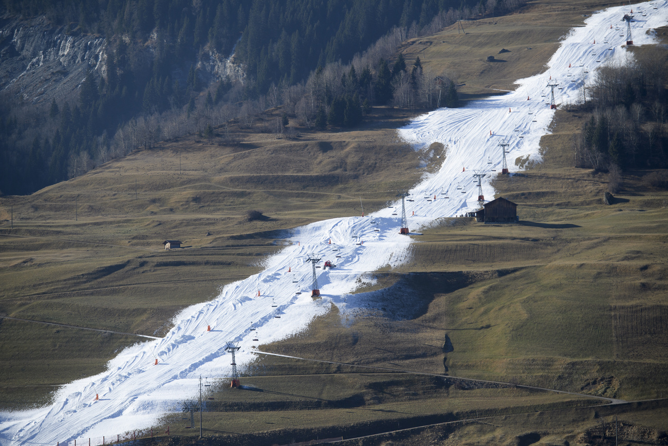 una striscia di nevev artificiale a Celerina per permettere di sciare fino a valle.