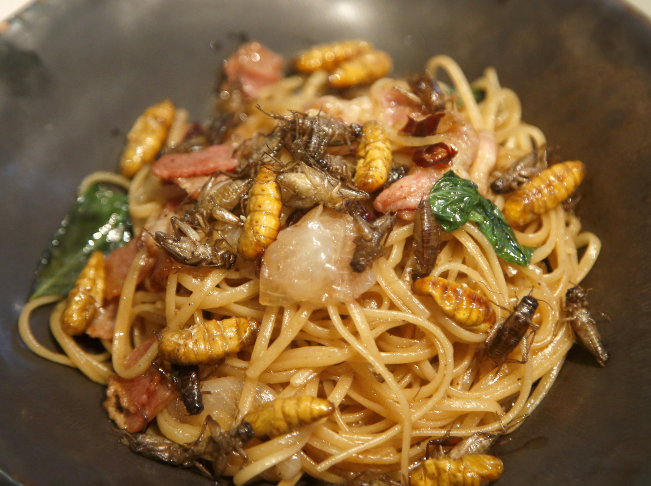 iatto di spaghetti conditi con grilli e larve