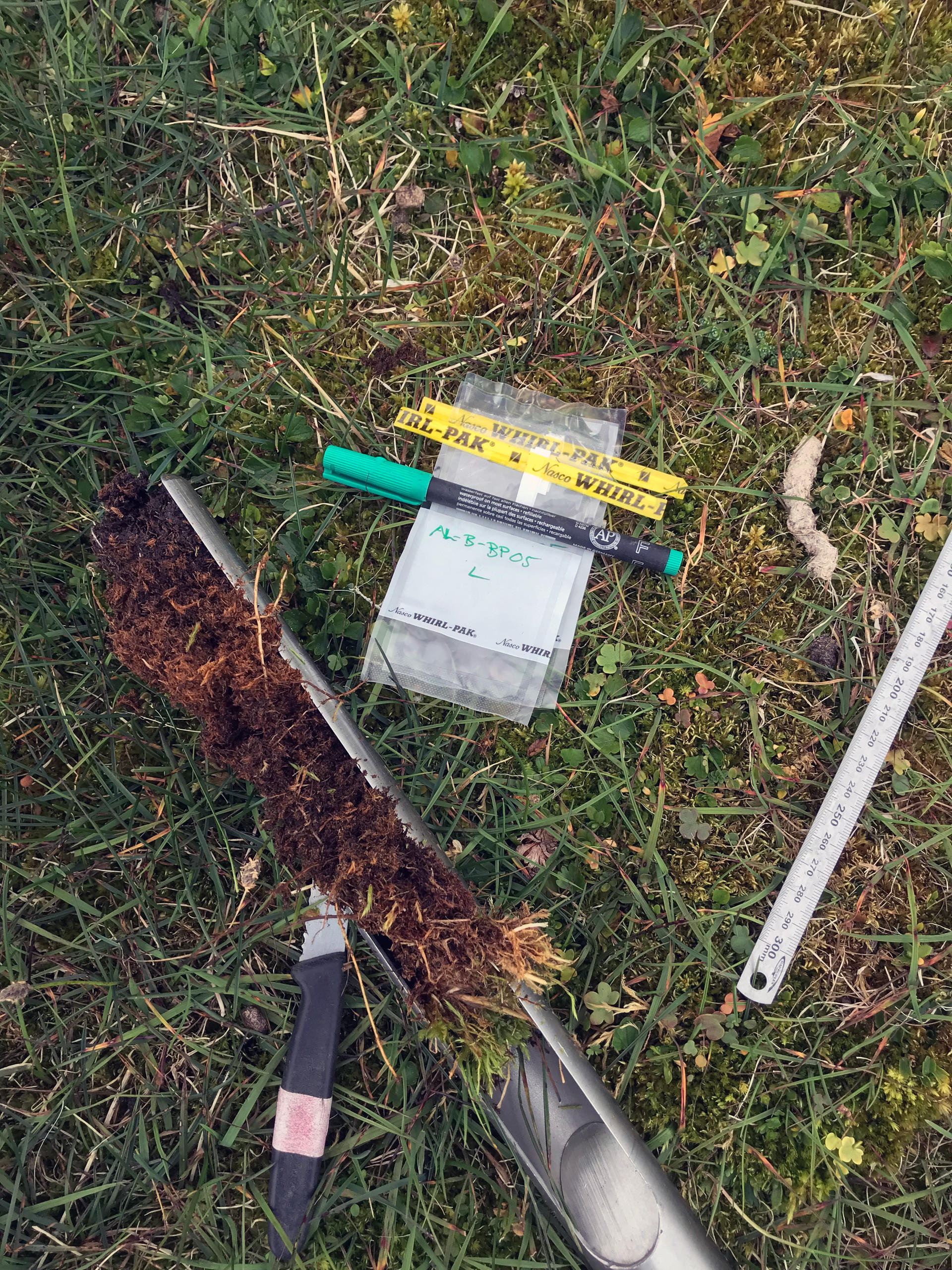 Ein sehr moosiger Bohrkern und einige Beutel zur Entnahme mikrobiologischer Proben