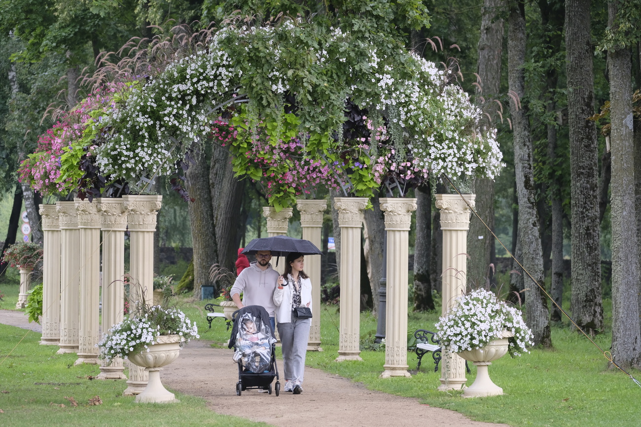 Baby and flowers