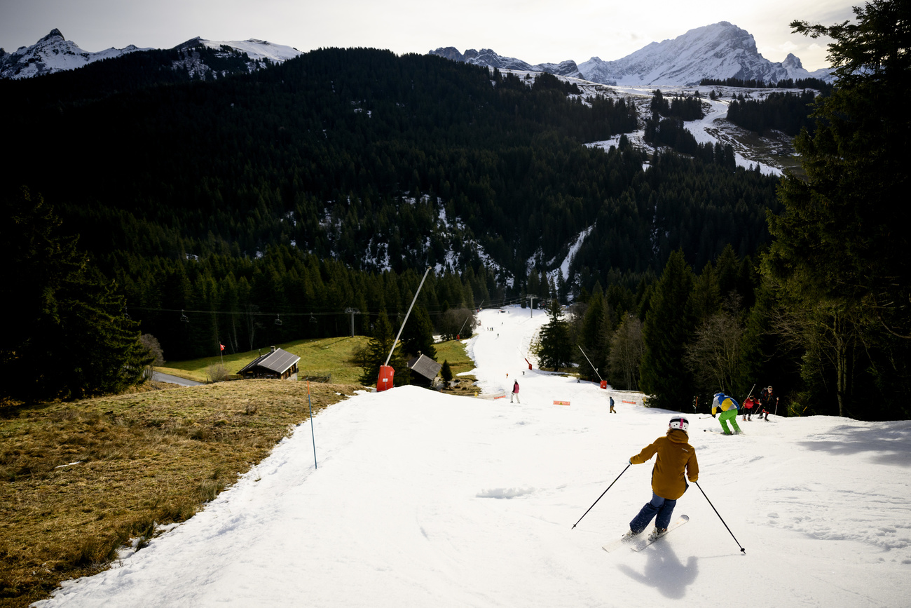 Piste innevate artificialmente