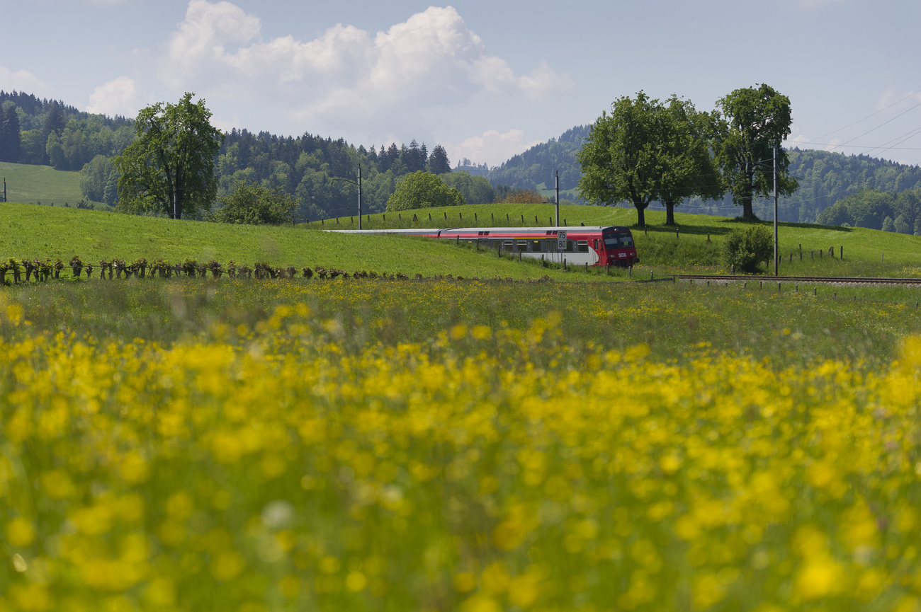 Trem que viaja além de um prado na Suíça