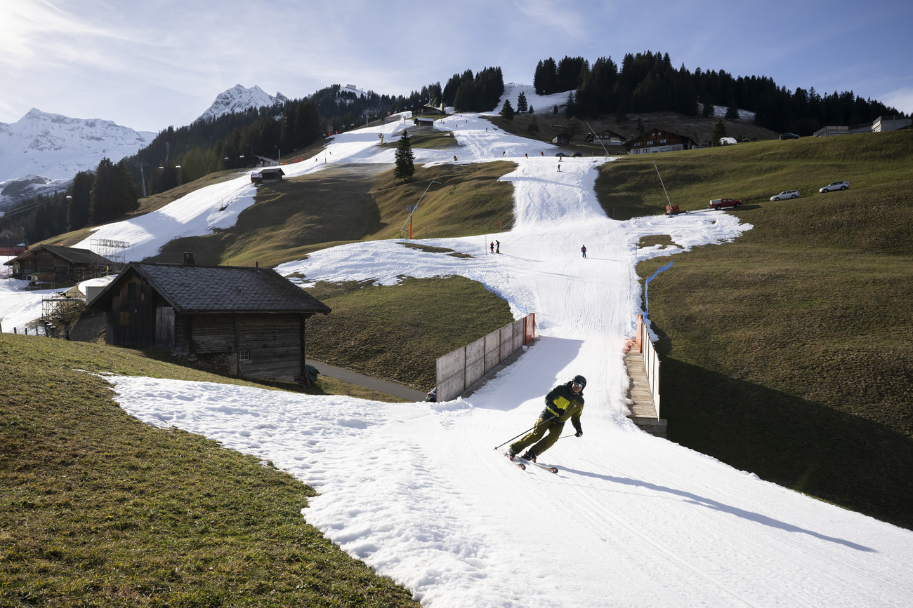 étendues vertes à Adelboden