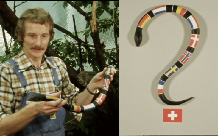 1975年：一位動物園管理員在瑞士電視台展示一條貨幣蛇。