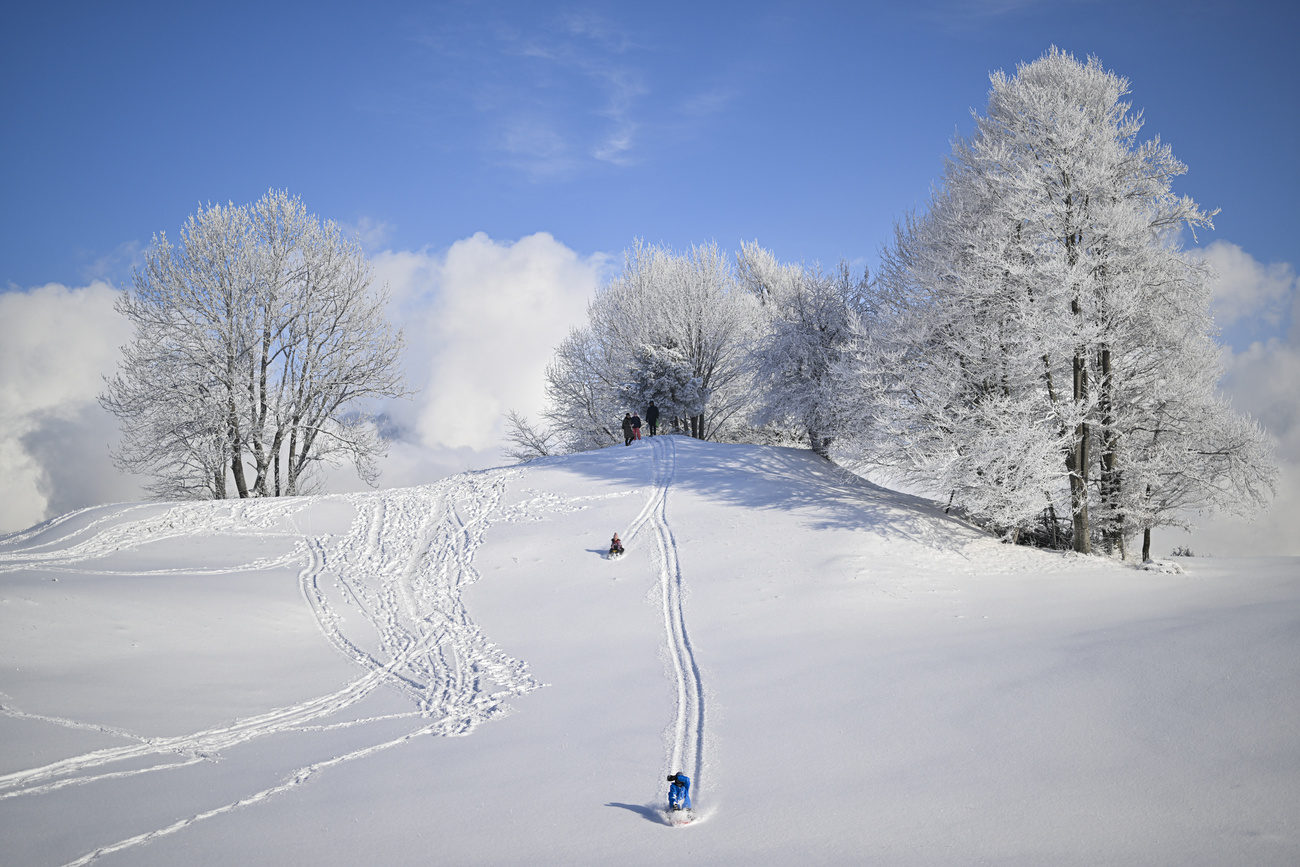Children toboggan in the snow