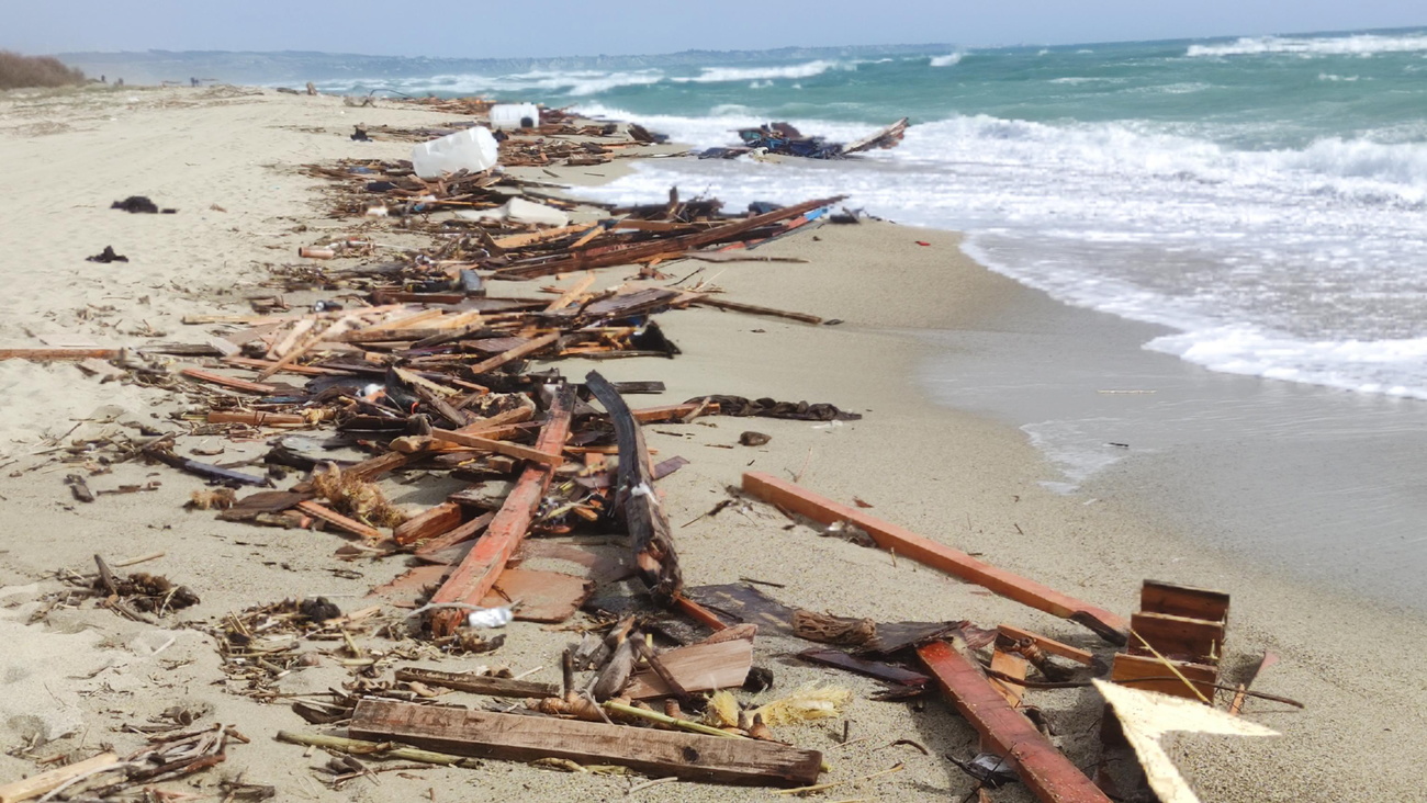 pezzi di legno su una spiaggia