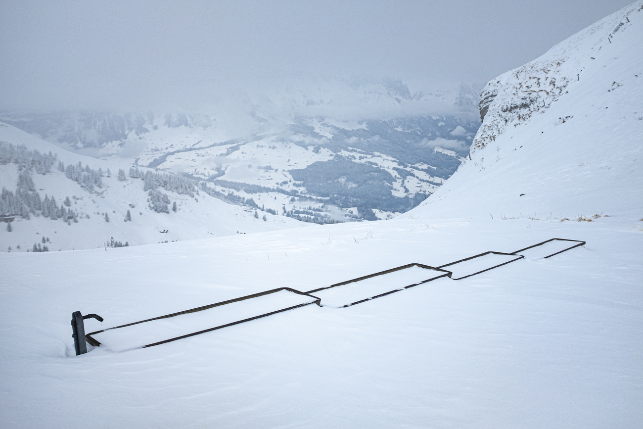 snowy mountain field