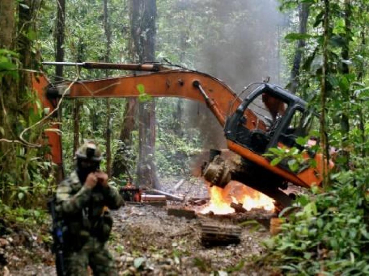 Explosivos y fuego: la arremetida oficial contra el oro ilegal en ...