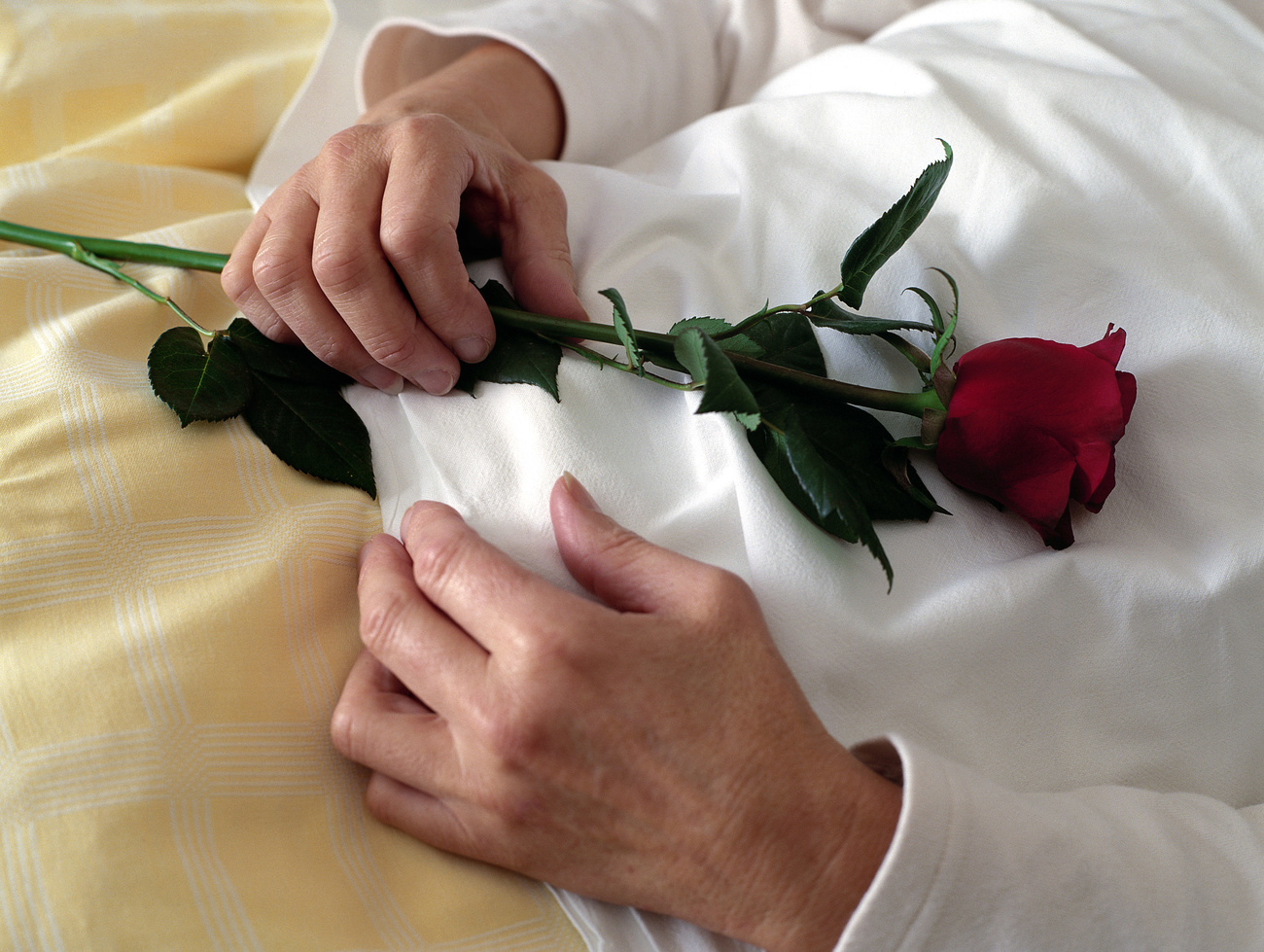 Woman lies on bed with a rose