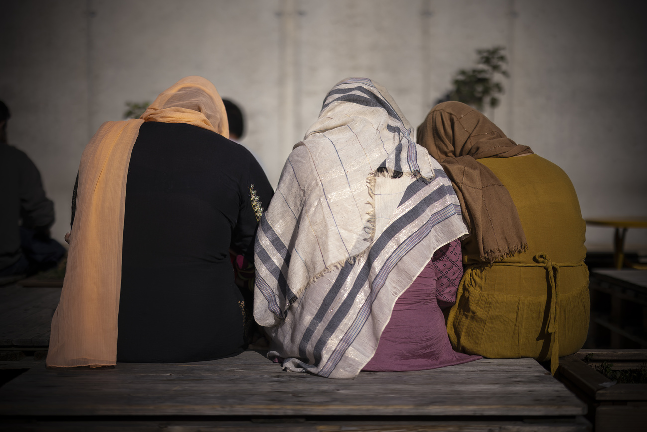 صورةمن الخلف لثلاث نساء جالسات