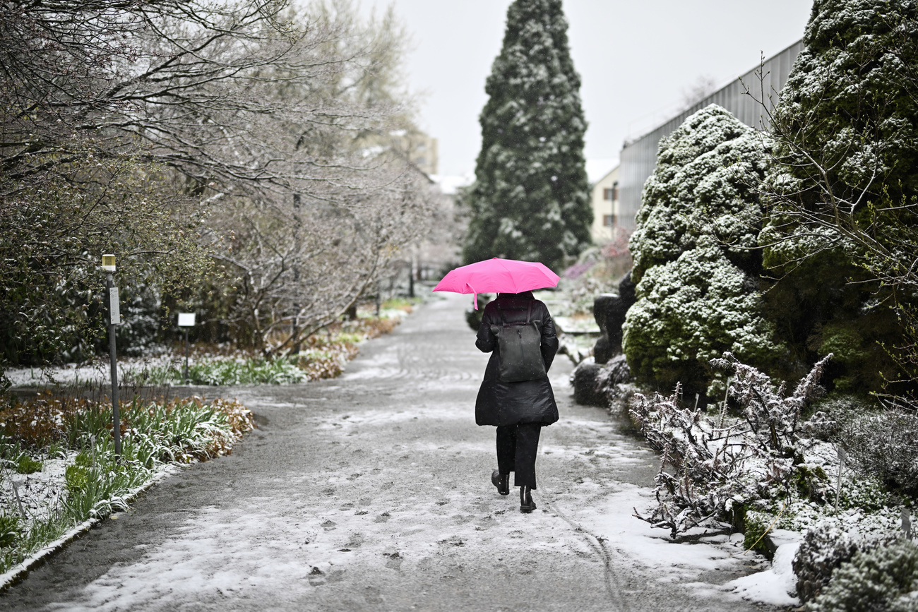 Snowy weather in St Gallen.