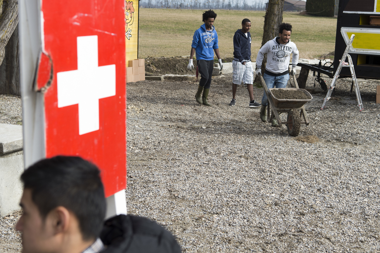 Réfugiés en train de travailler près d un drapeau suisse