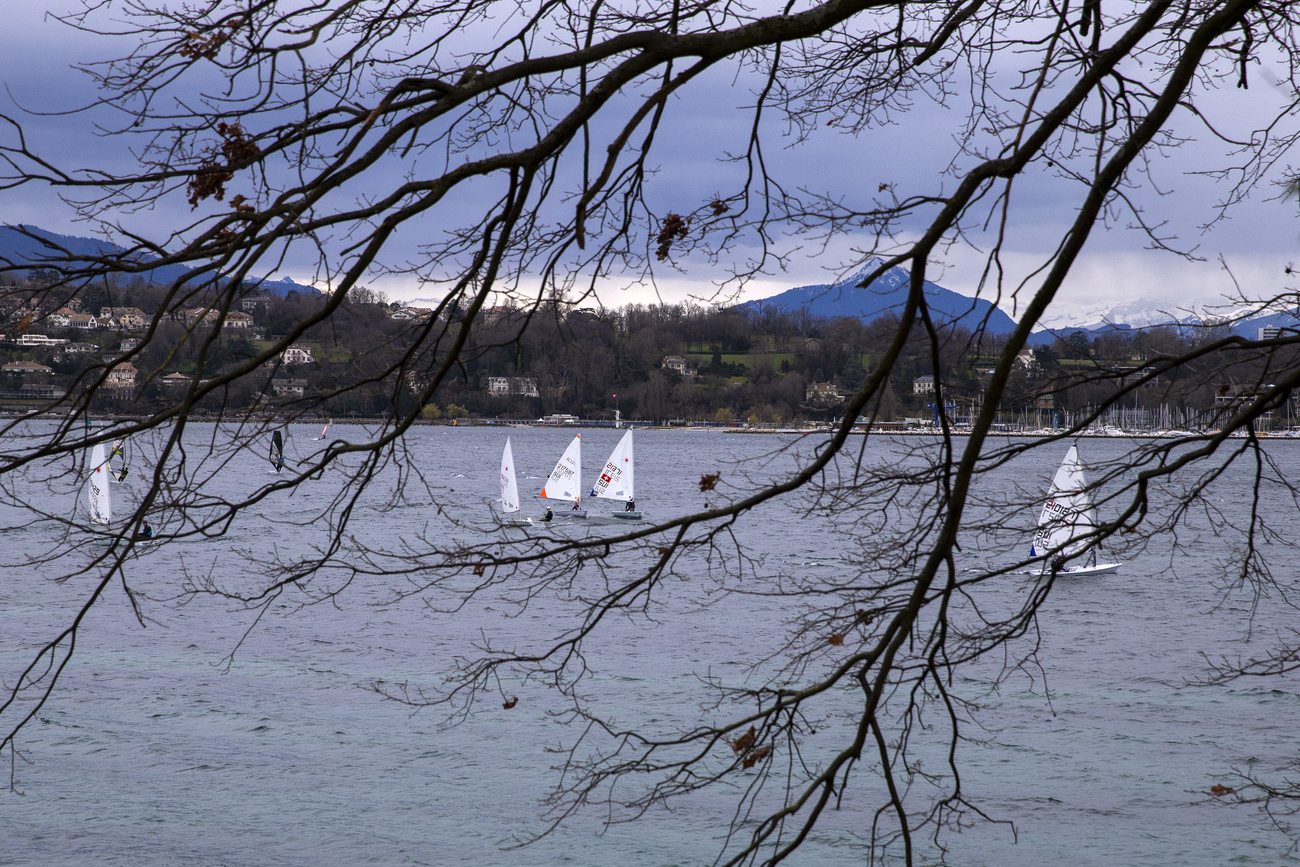 Sail boats on Lake Geneva