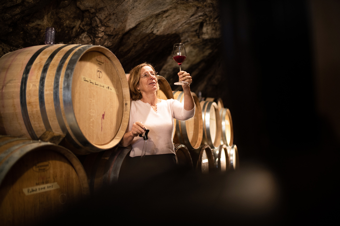 donna davanti a botti di vino