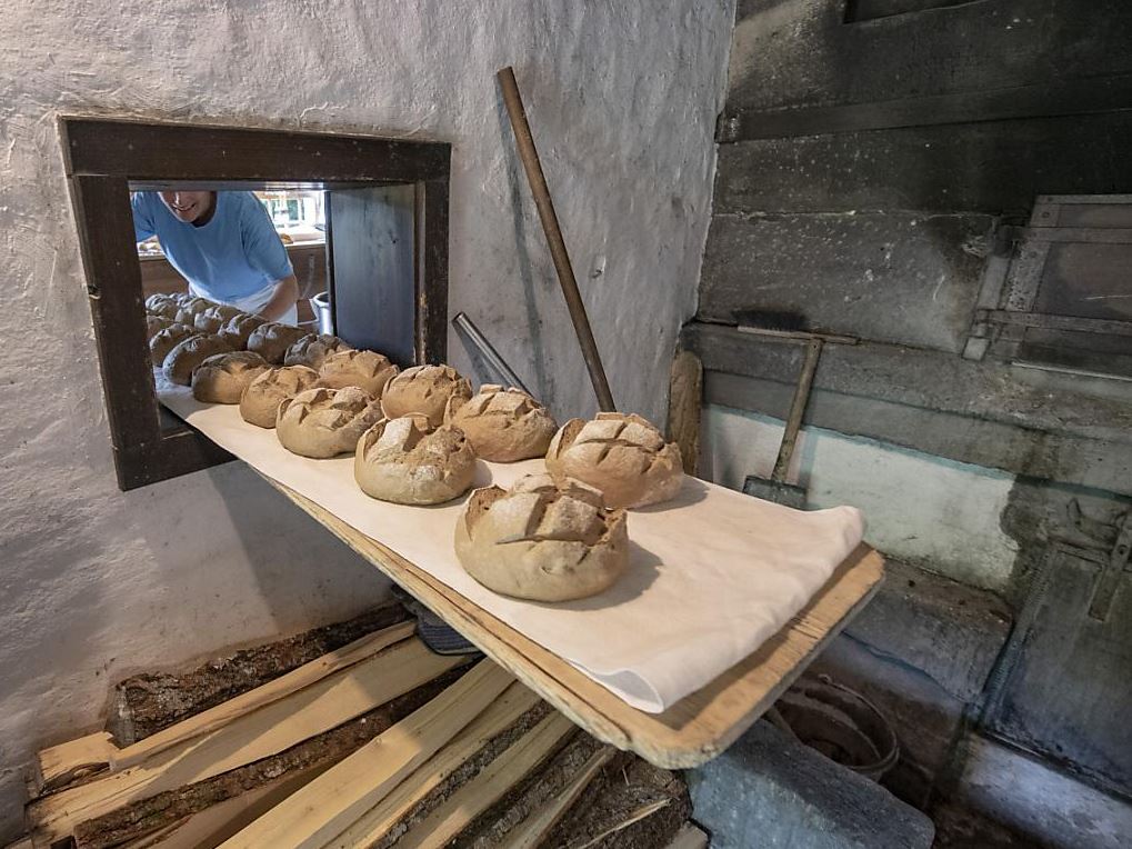 Brett mit vielen frischen Broten drauf in einer Bäckerei