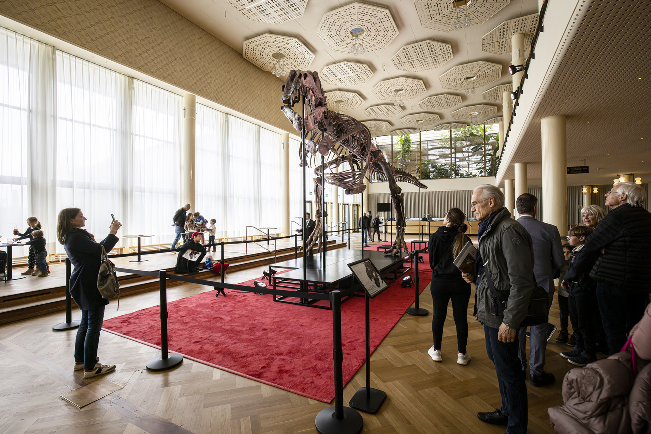 The T-Rex skeleton Trinity on display in Zurich