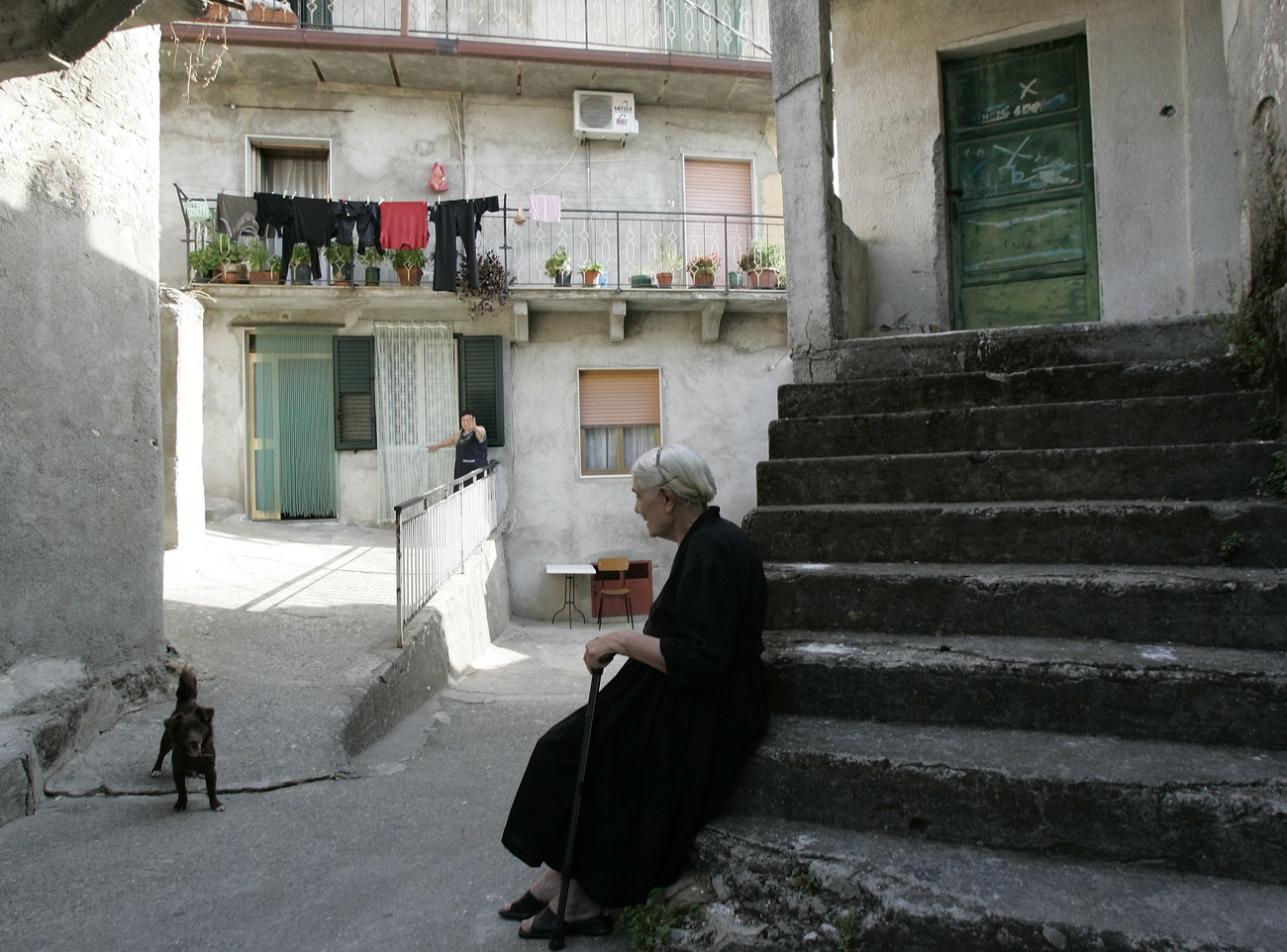 donna anziana seduta su una scala con un cane nei paraggi