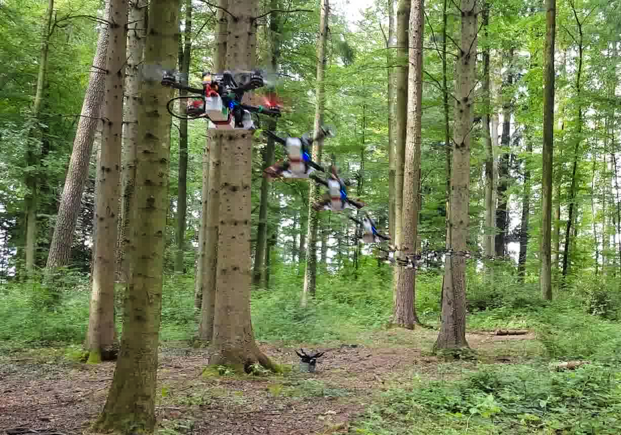 Swiss drone in forest