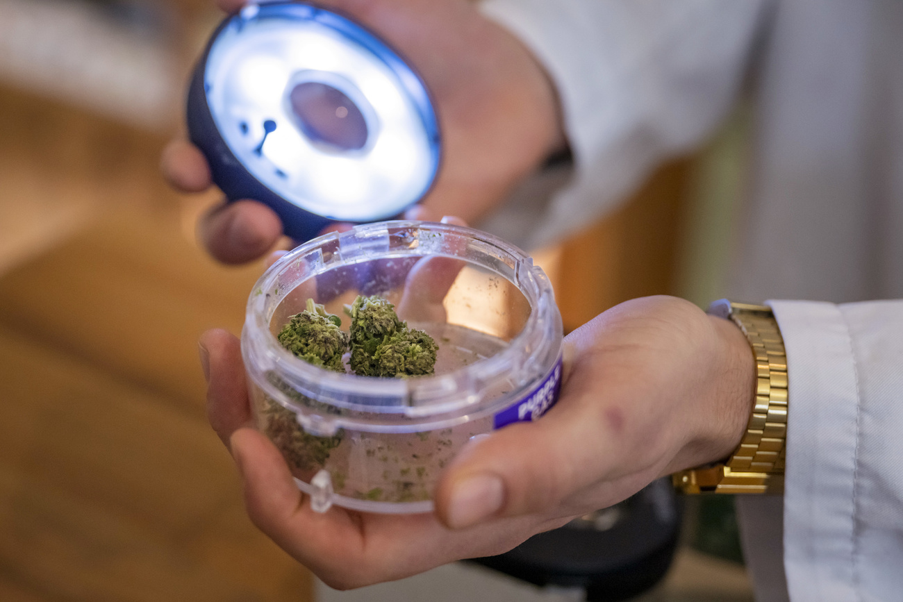Cannabis sale in a pharmacy in Basel