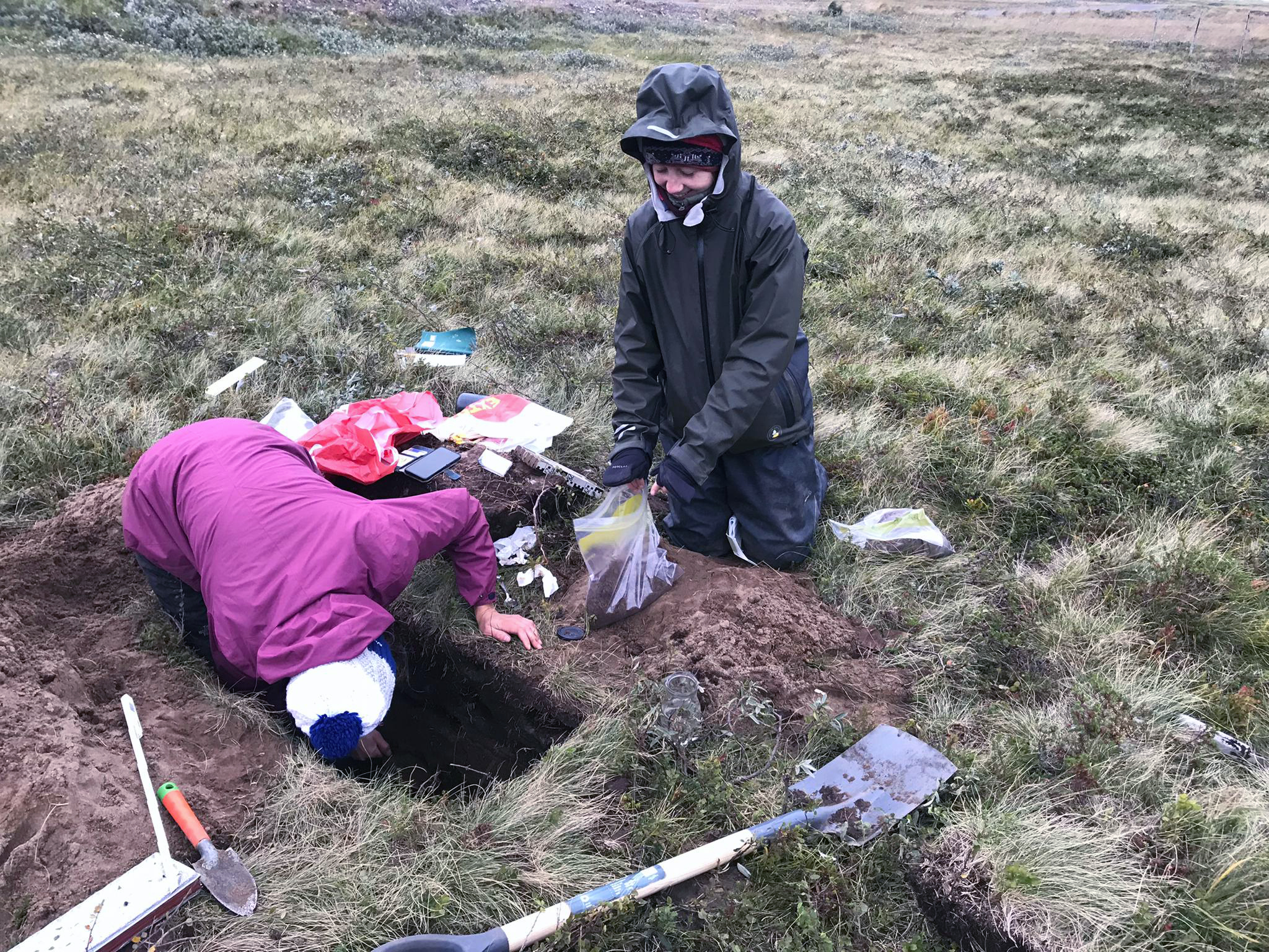 Researchers taking samples from a soil pit