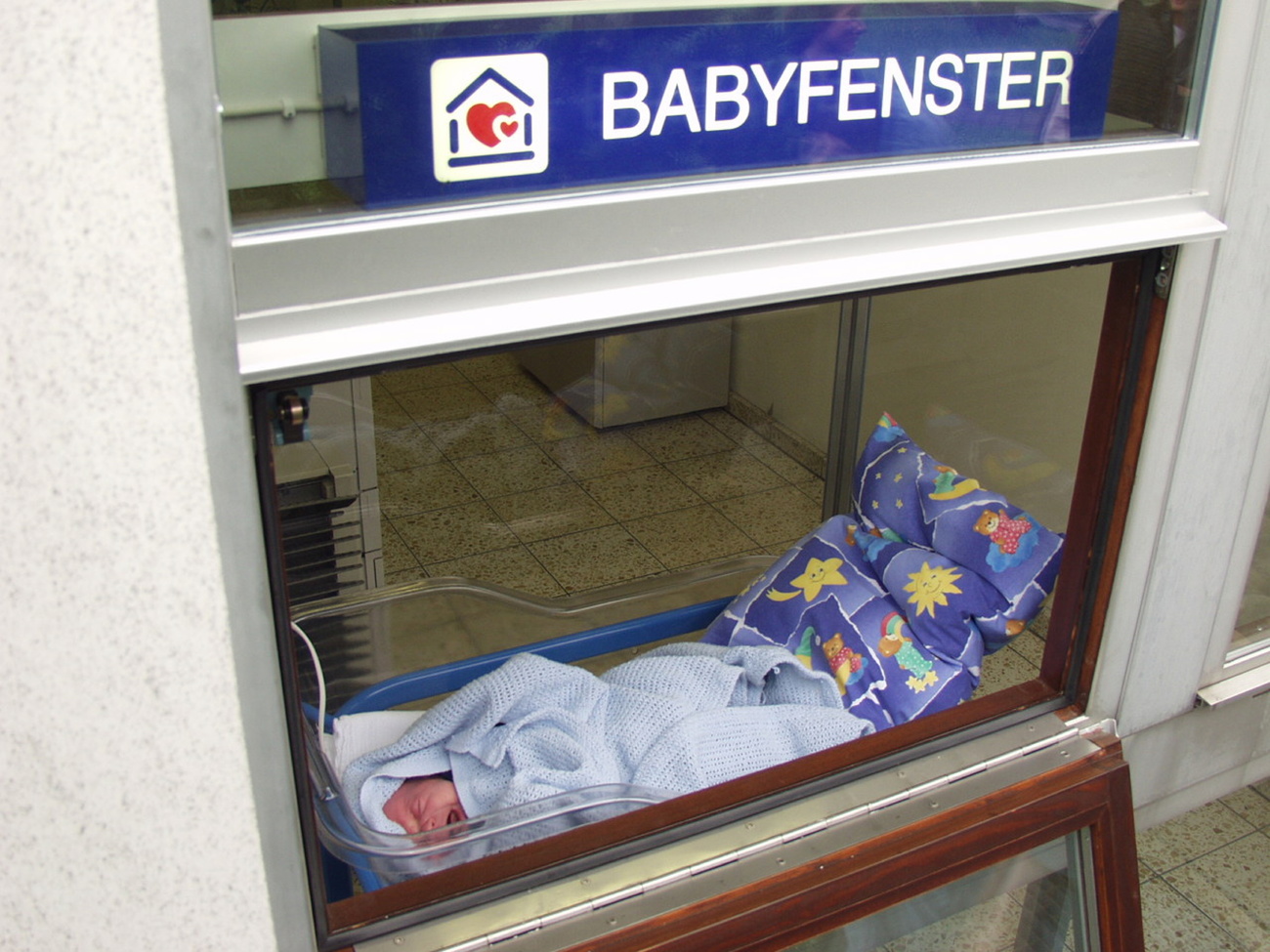 Bimbo adagiato in una baby finestra.