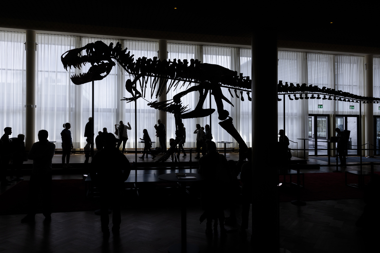t-rex