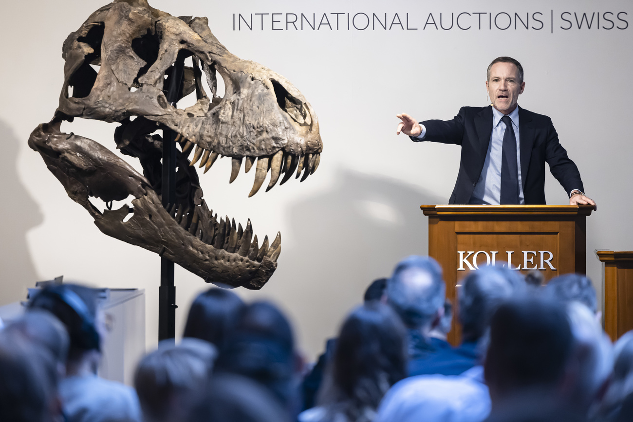 T. rex at auction