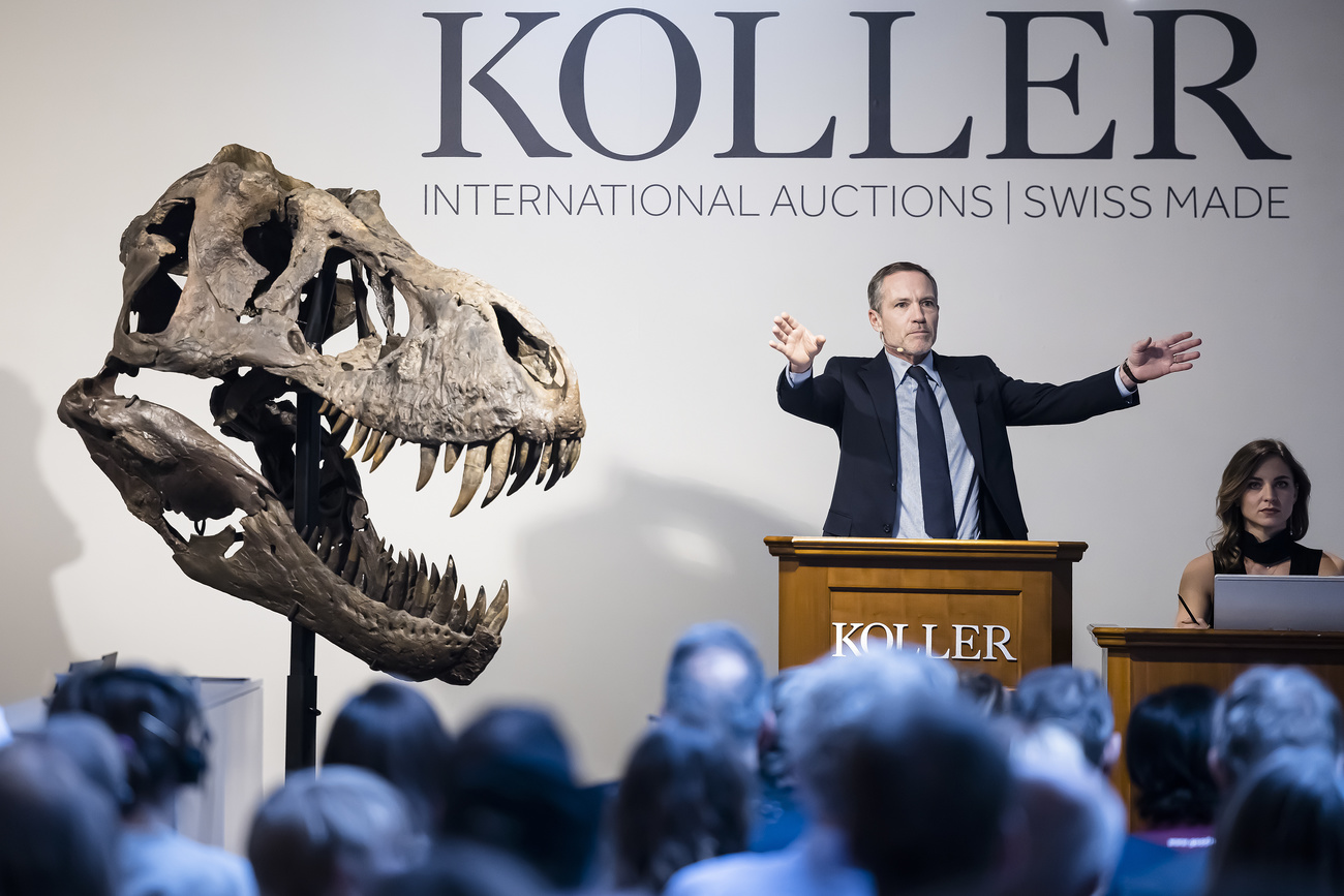 T. rex at auction