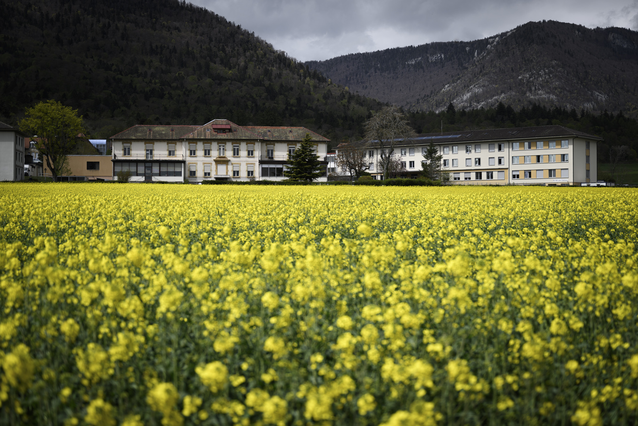 I fiori contornano il centro per richiedenti asilo di Boudry (NE)