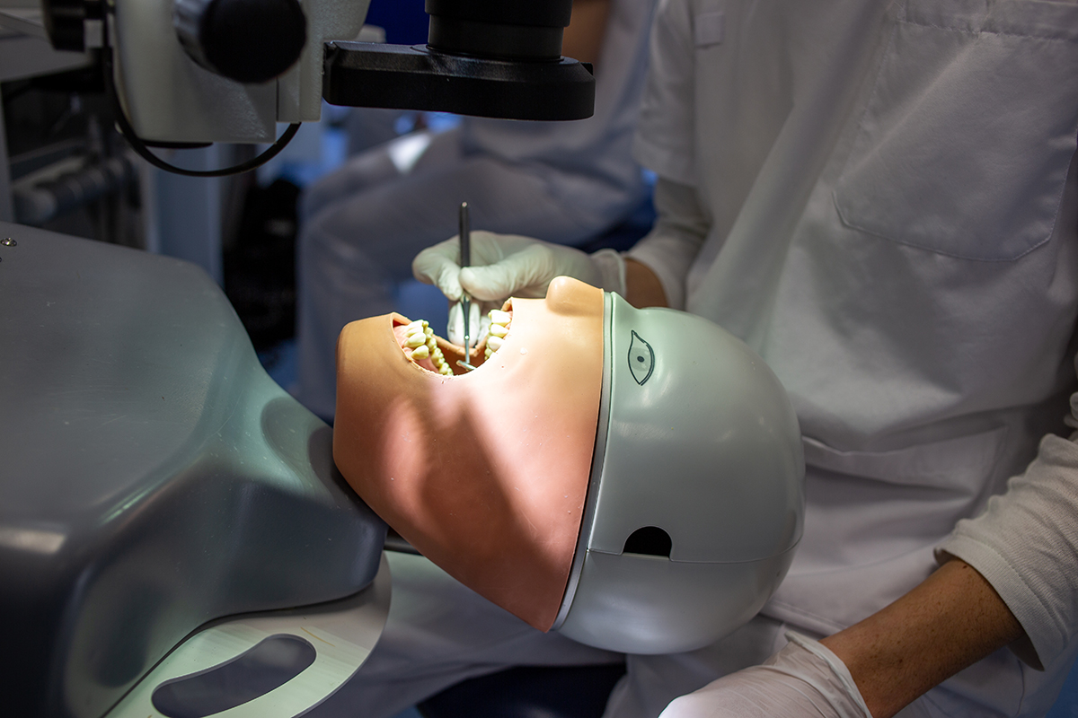 قبل استقبال المرضى ، يتدرب طلاب طب الأسنان على العارضات.