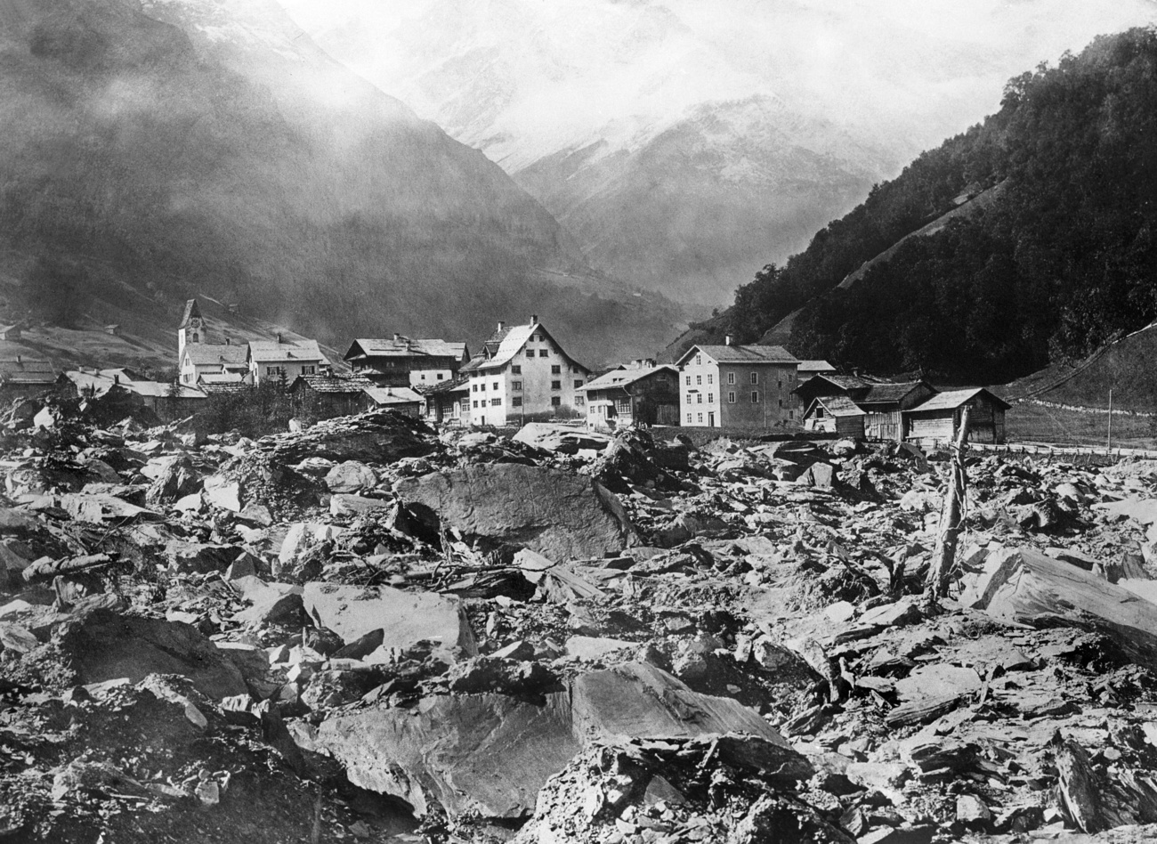 Elm after the landslide